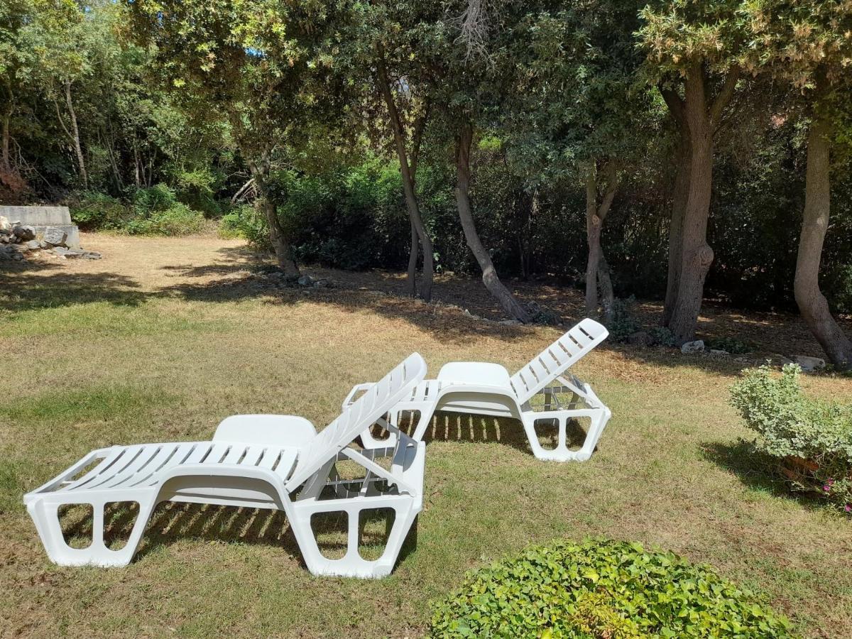 Apartman Korina